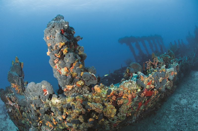 Virgin Gorda Diving