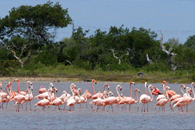 Flights to Anegada