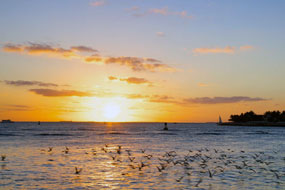 Flights Key West